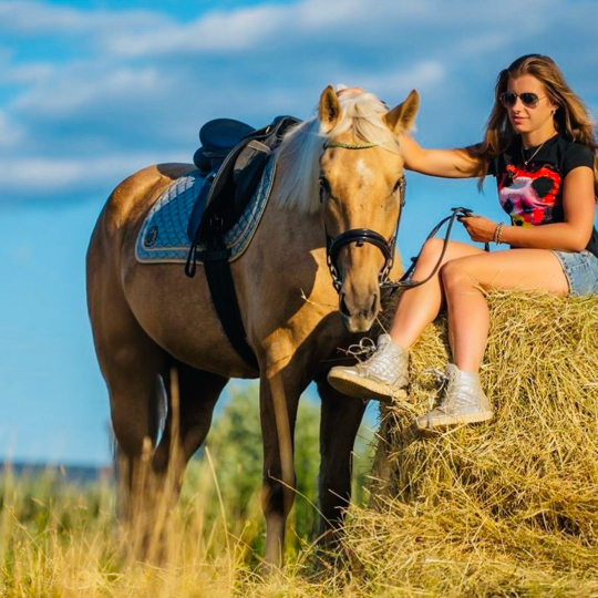 Anna-Avida