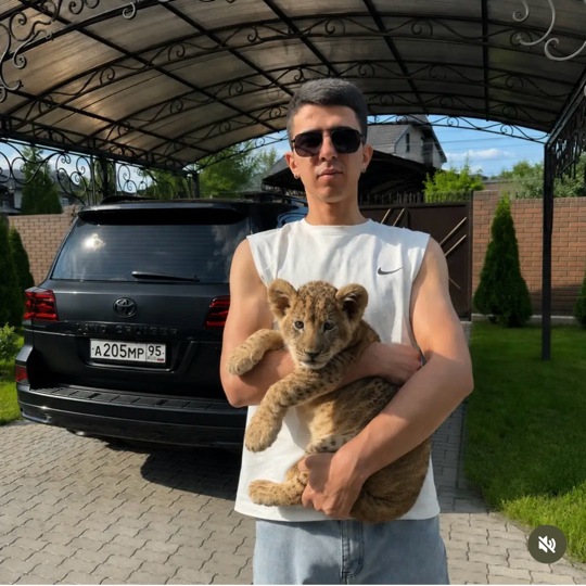 kasimov